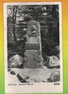 Duszniki - Pomnik Chopina