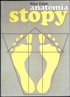 ANATOMIA STOPY Artur Dziak