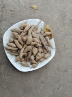 TOPINAMBUR Bulwa Słonecznika, Smaczny Ziemniak 1kg , sadzonki (80 bulw) !