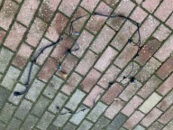 Audi A4 B9 Wiązka PDC Instalacji TyŁ 8W9971104T ORG