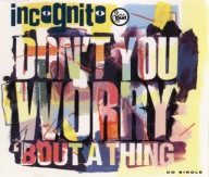 AN - Incognito - Don't You Worry 'Bout A Thing EX