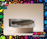 Pstrąg ryba wędzona