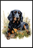 A2 PLAKAT PIES W KWIATACH RASA GORDON SETTER SETER SZKOCKI