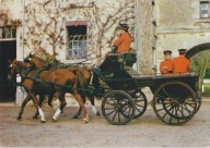 KOŃ - KONIE - FRANCJA - LA ROCHE SUR YON
