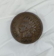 USA - 1 CENT 1899 (1) - INDIANIN - Indian Head