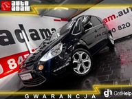 Ford S-Max piekny rodzinny bezpieczny bezwypadkowy po face lifting. Zapras