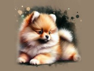 PANEL z nadrukiem na torbę, tkanina wodoodporna 45/45cm pomeranian