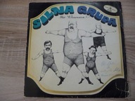 Silna Grupa pod Wezwaniem