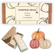 WOSK 100% SOJOWY - DO KOMINKA ZAPACHOWEGO WAX MELT - PUMPKIN SPICE 50G