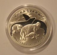 20 ZŁ ZŁOTYCH 2007 FOKA SZARA - MENNICZA + FOLDER NBP