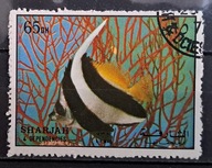 Ryby (**) - luzak - do uzupełnień 13/2