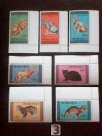 Znaczki , koty , Mongolia MNH