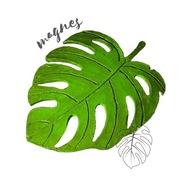 RĘCZNIE ROBIONY MAGNES NA LODÓWKĘ MONSTERA ROŚLINA SHELFLAND