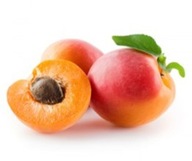 Morela Bergeron – samopylna, francuska odmiana, deserowa