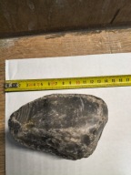 Skamieliny, muszle, kamienie, krzemień pasiasty