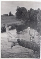 MAZURY RZEKA KRUTYNIA KAJAK 1962