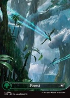Karta Magic: The Gathering Forest 266 FullArt EOE