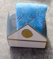 RAYPATH CZYŚCIK SUNBEAM Z NANOSREBREM morski