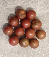 Pomidor Black-Chocolate Cherry (214) nasiona kolekcjonerskie