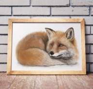 PLAKAT A3 LIS lisek las zwierzę leśne MONTESSORI Ozdoba do pokoju dziecka