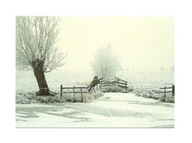 Pocztówka - Oszronione wierzby / pejzaż zimowy