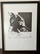 OBRAZ MR COTT - JOLANTA PIELKA-KETHER