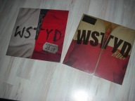 kult wstyd 3x winyl,kazik