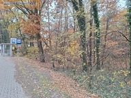 Działka, Sękocin Las, Raszyn, Pruszkowski, 2400 m²