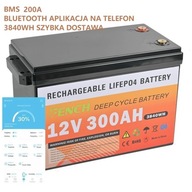 12V 300Ah 3840Wh LiFePO4 Bateria Akumulator Smart BMS FENCH bluetooth APP
