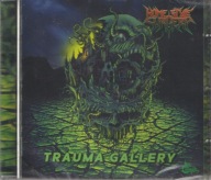 Brain Drill Poetry Home Style Surgery CD Trauma Gallery