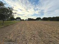 Działka, Skała, Krakowski, 3035 m²