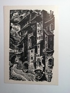 NOWA - RUDA 1952- DOMY NAD WODĄ - DRZEWORYT M. HISZPAŃSKA - NEUMANN