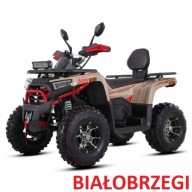 QUAD 250 CC ASIX CHALLENGER CHELLENGER RATY TRANSPORT HOMOLOGACJA 2 OSOBY