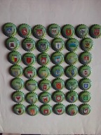 - BROWAR WITNICA - 43 KAPSLE - POSMAKUJ LUBUSKIE - DZIEWICE -