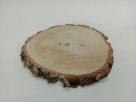 PLASTRY BRZOZOWE 20-25 CM KRĄŻKI BROZOZWE PLASTRY DREWNIANE P3