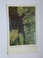 Obraz Rzeka w olchach - Stanisław Żukowski - stara pocztówka