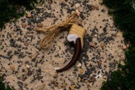 Miraculous Miraculum – wisiorek z pazurem Orzeł