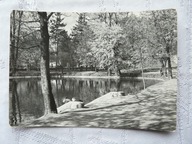 SIEDLCE STAW W PARKU