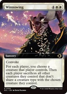 Karta Magic: The Gathering Winnowing ECL *Extended Art*