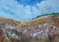 Pejzaż łąki pola Akwarela Sabina Salamon 27x38