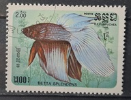 Ryby (kas) - luzak - do uzupełnień 13/8