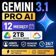 GEMINI 3.1 PRO AI 12 MIESIĘCY | 2TB GOOGLE DRIVE | NA TWOJE KONTO | VEO 3.1