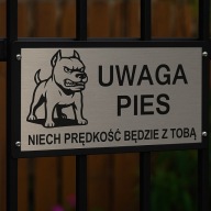 Tabliczka uwaga pies Amstaff pitbull