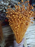 Len naturalny suszony dekoracje zboże susz kwiaty pomarańczowy