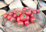 Pomidor Malinowa Róża kolekcjonerskie nasiona pomidorów