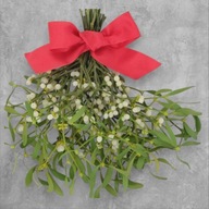 Jemioła Boże Narodzenie Naturalna, Świeża Gwarancja Wysyłki Przed Świętami