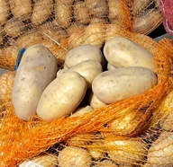 Ziemniaki żółte QUEEN ANNE Polskie 15kg