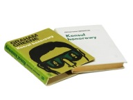 Konsul honorowy - Graham Greene
