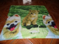 Duża poszewka na poduszke w psy z kotem - 70 cm x 75 cm