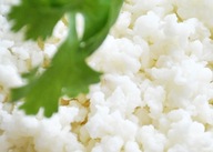 10 x GRZYBEK TYBETAŃSKI sterylny ŚWIEŻY ECO 50 g